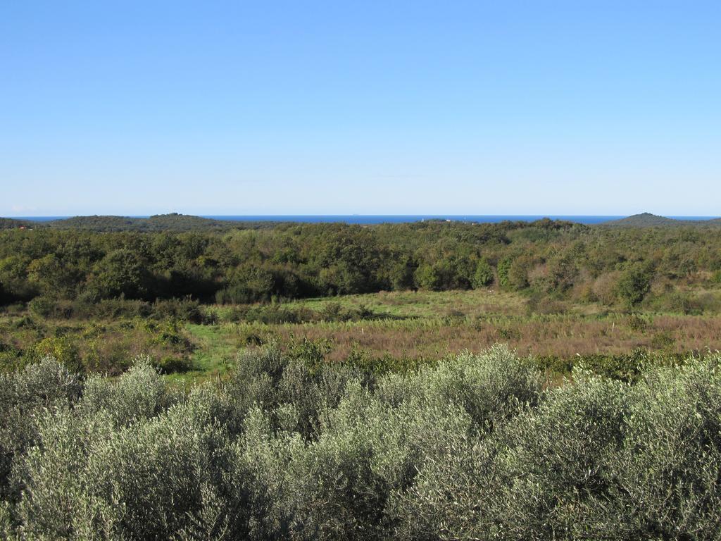 Holiday Home Vinkovic Porec Bagian luar foto